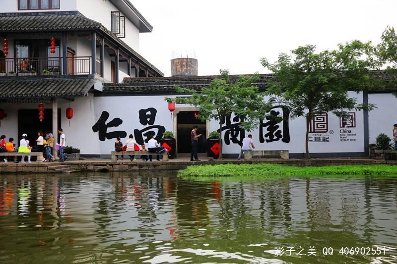 拯救小松鼠